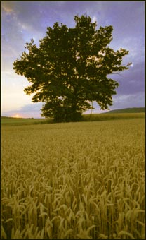 Bad Berneck Gesees - Duitsland