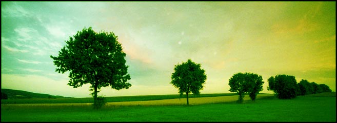 Groene bomen - Bad Berneck Gesees Duitsland