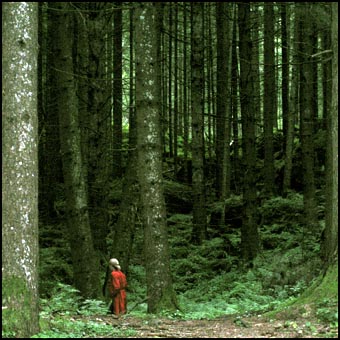 Vrouw in rood - Piburger See Oostenrijk